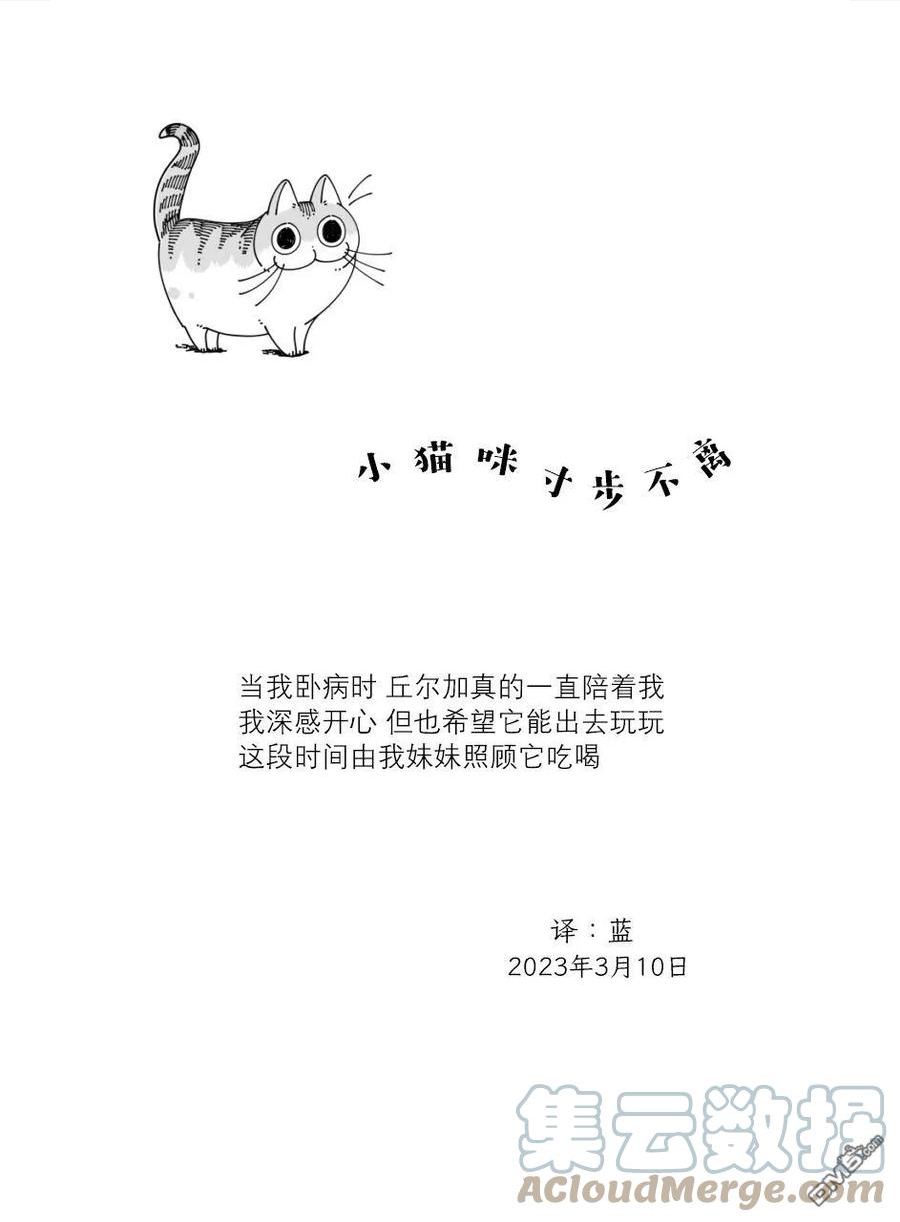 关于养猫我一直是新手动漫在线观看漫画,第157话4图