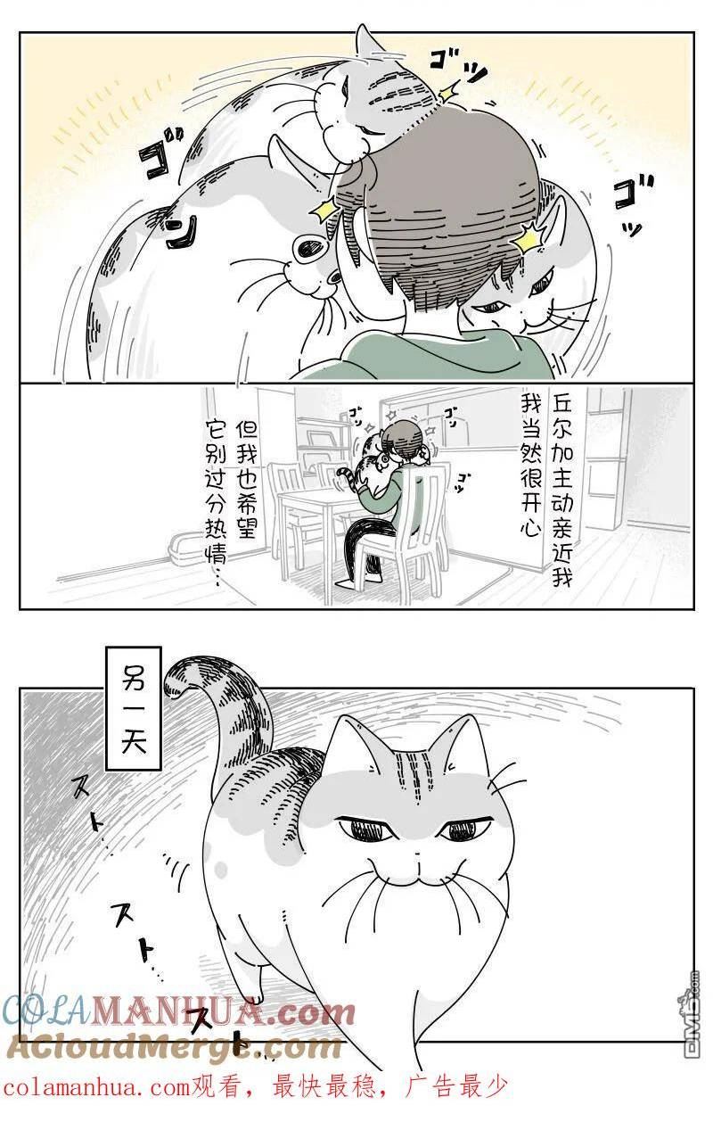 关于养猫我一直是新手动漫在线观看漫画,第159话2图