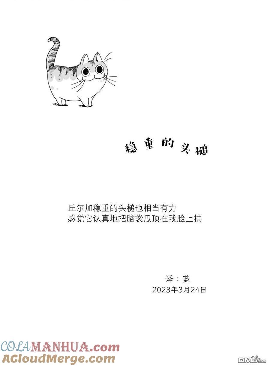 关于养猫我一直是新手动漫在线观看漫画,第159话4图