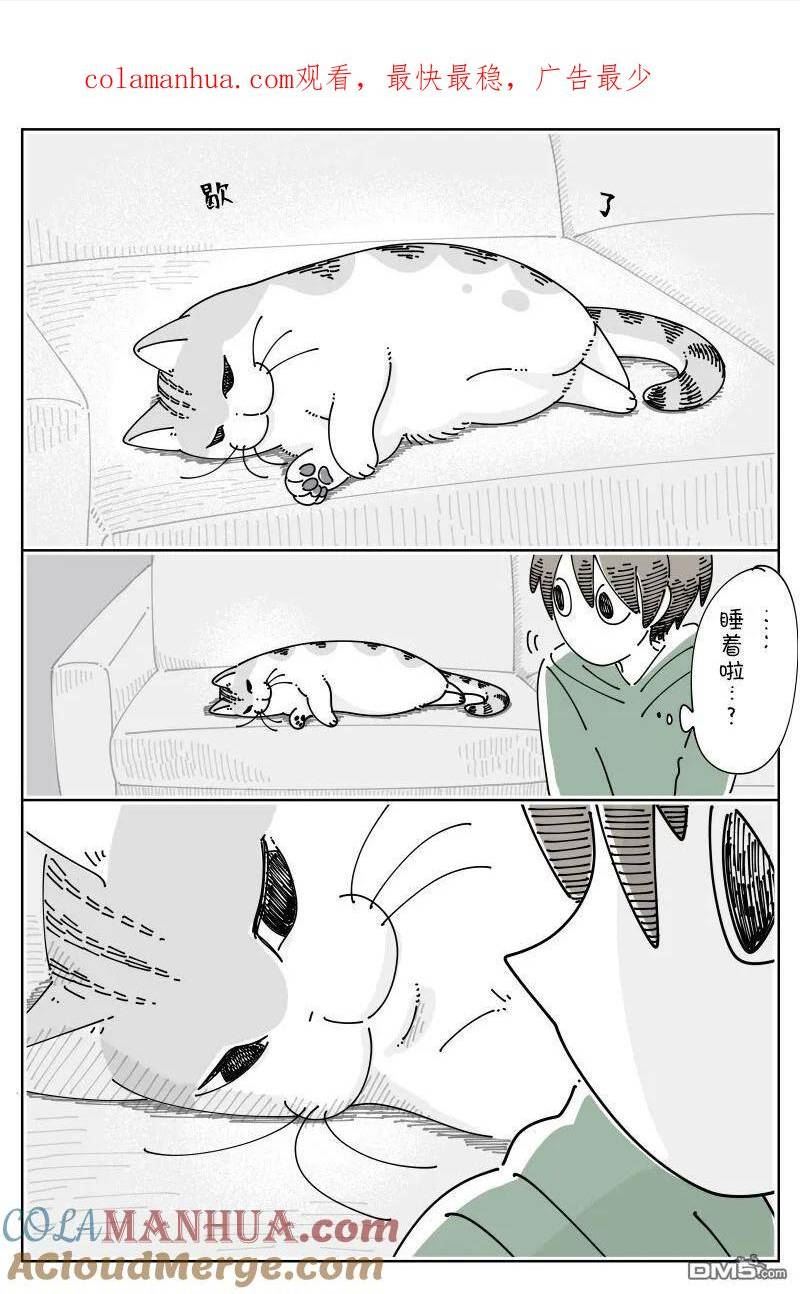 关于养猫我一直是新手漫画,第161话1图