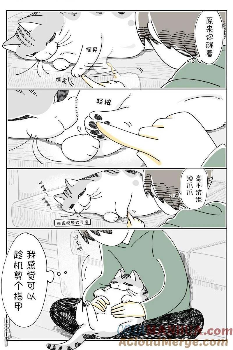 关于养猫我一直是新手漫画,第161话2图