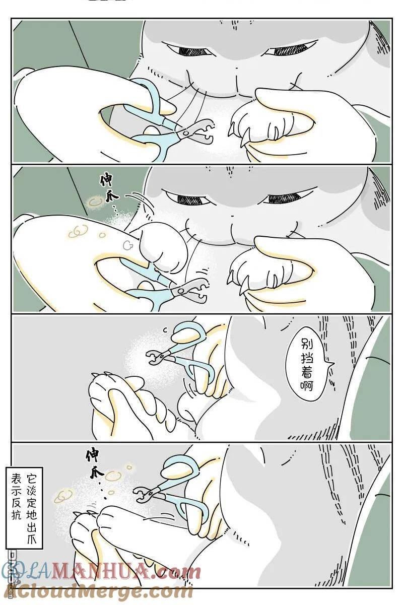 关于养猫我一直是新手漫画,第161话3图