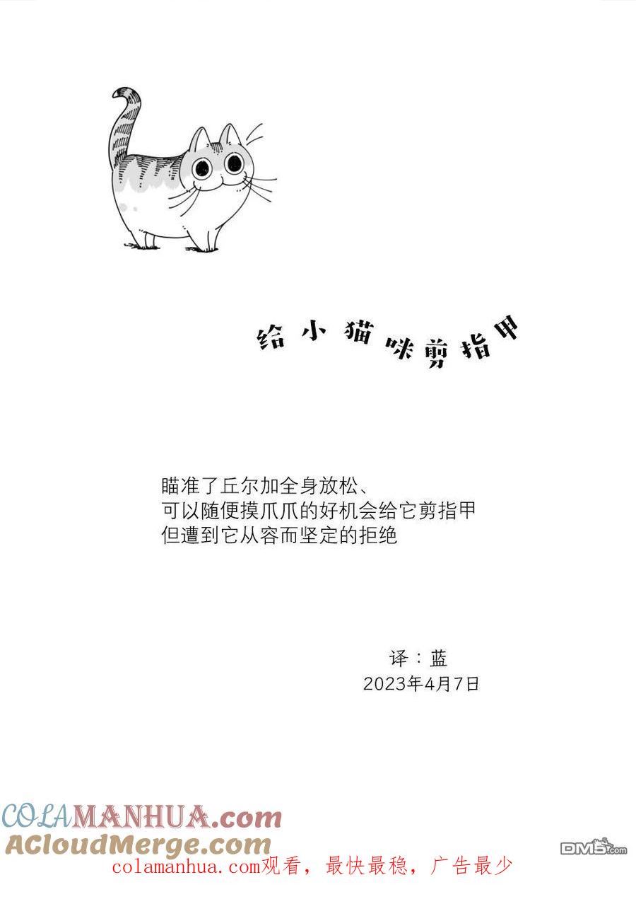 关于养猫我一直是新手漫画,第161话4图