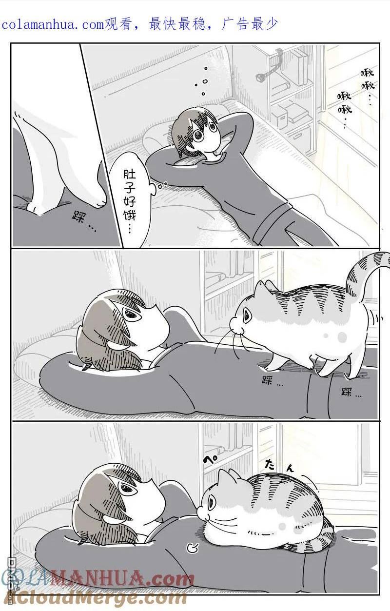 关于养猫我一直是新手漫画,第163话1图