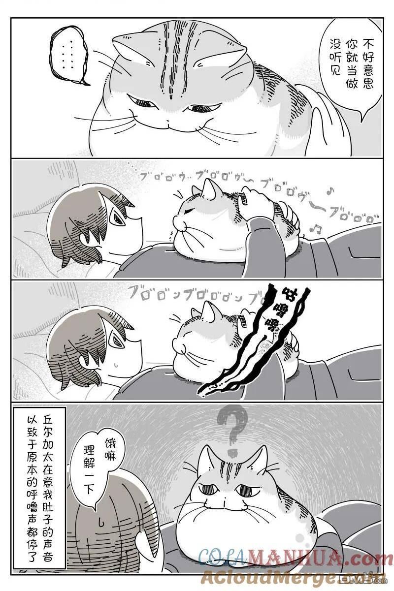 关于养猫我一直是新手漫画,第163话3图