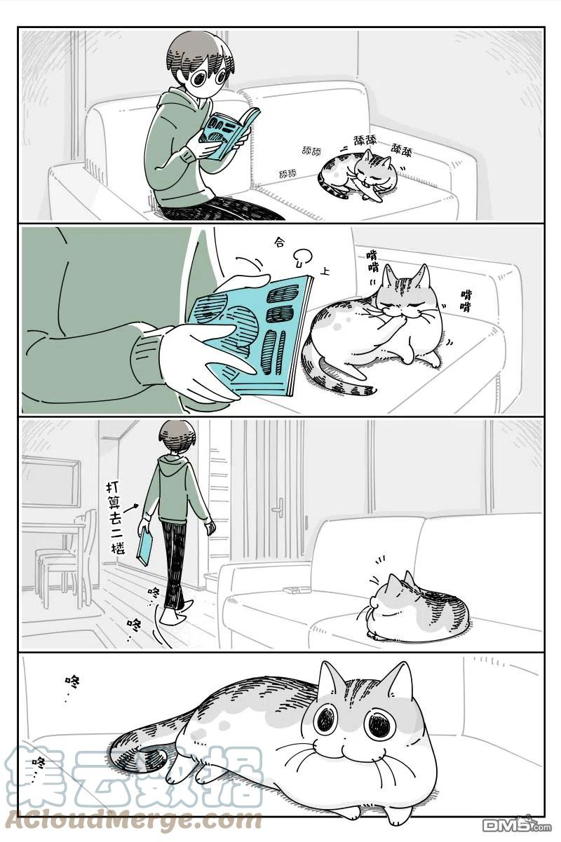 关于养猫我一直是新手漫画,第114话1图