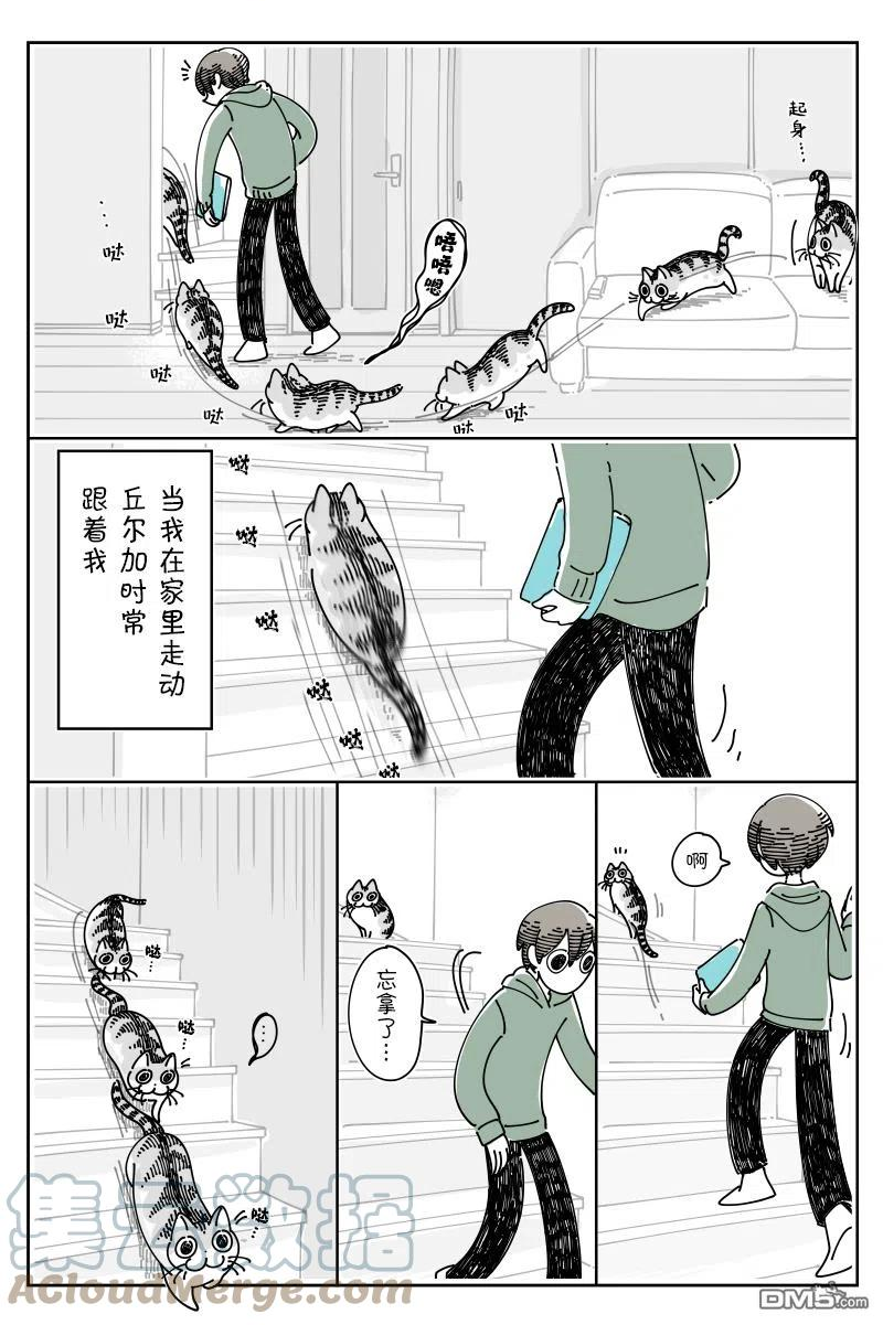 关于养猫我一直是新手漫画,第114话2图