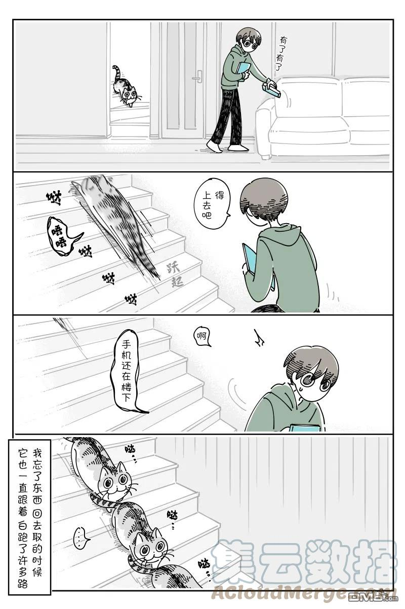 关于养猫我一直是新手漫画,第114话3图