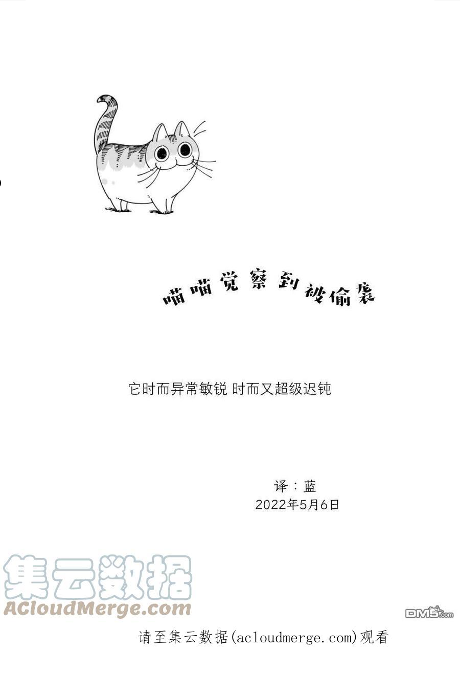 关于养猫我一直是新手 图片漫画,第115话4图