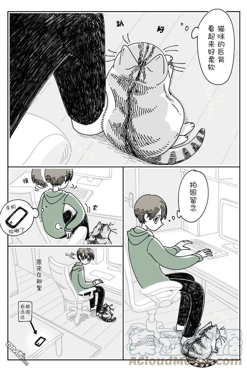 关于养猫我一直是新手漫画,第116话2图