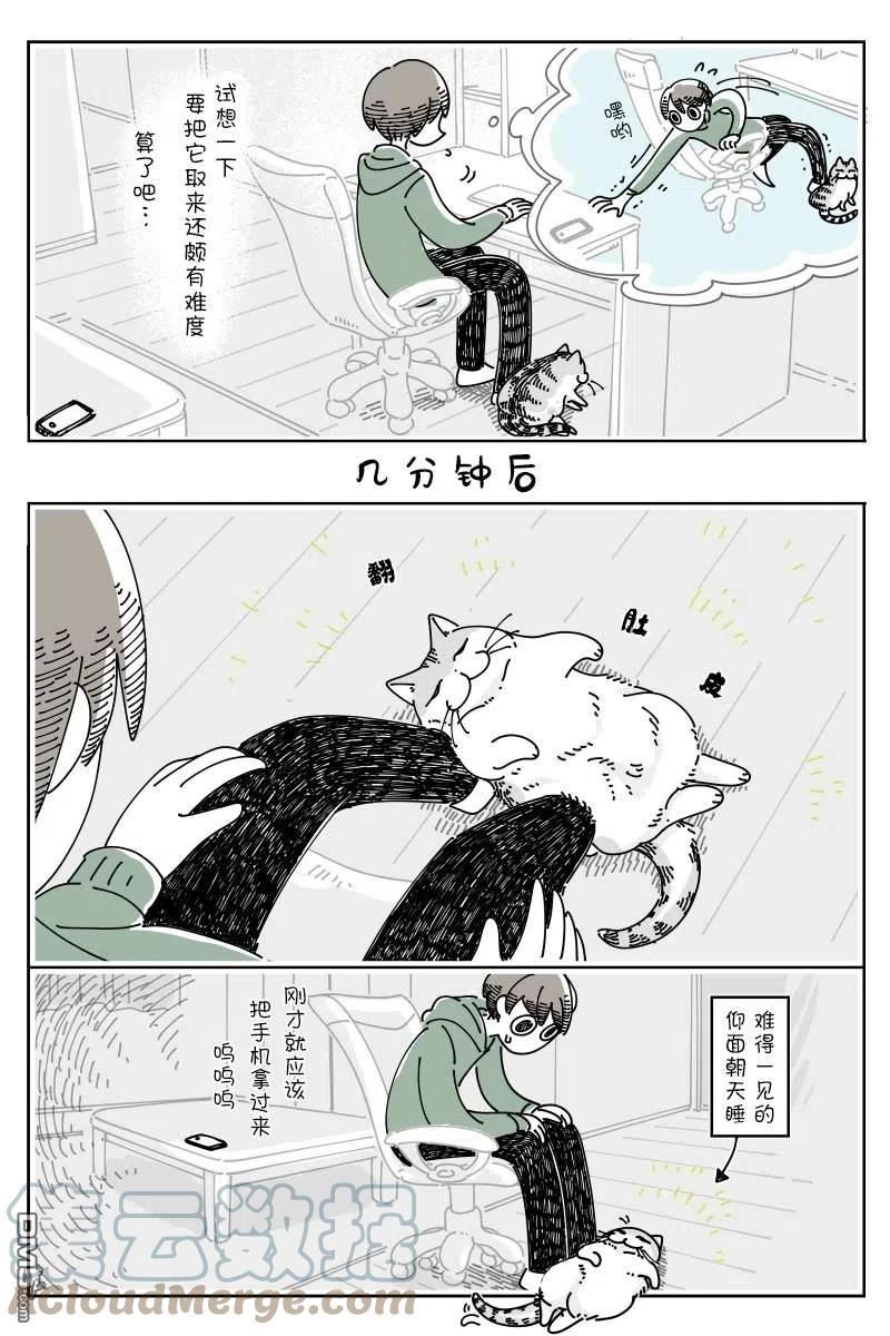 关于养猫我一直是新手漫画,第116话3图