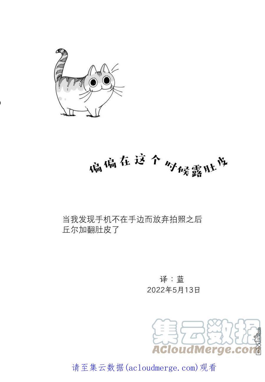 关于养猫我一直是新手漫画,第116话4图