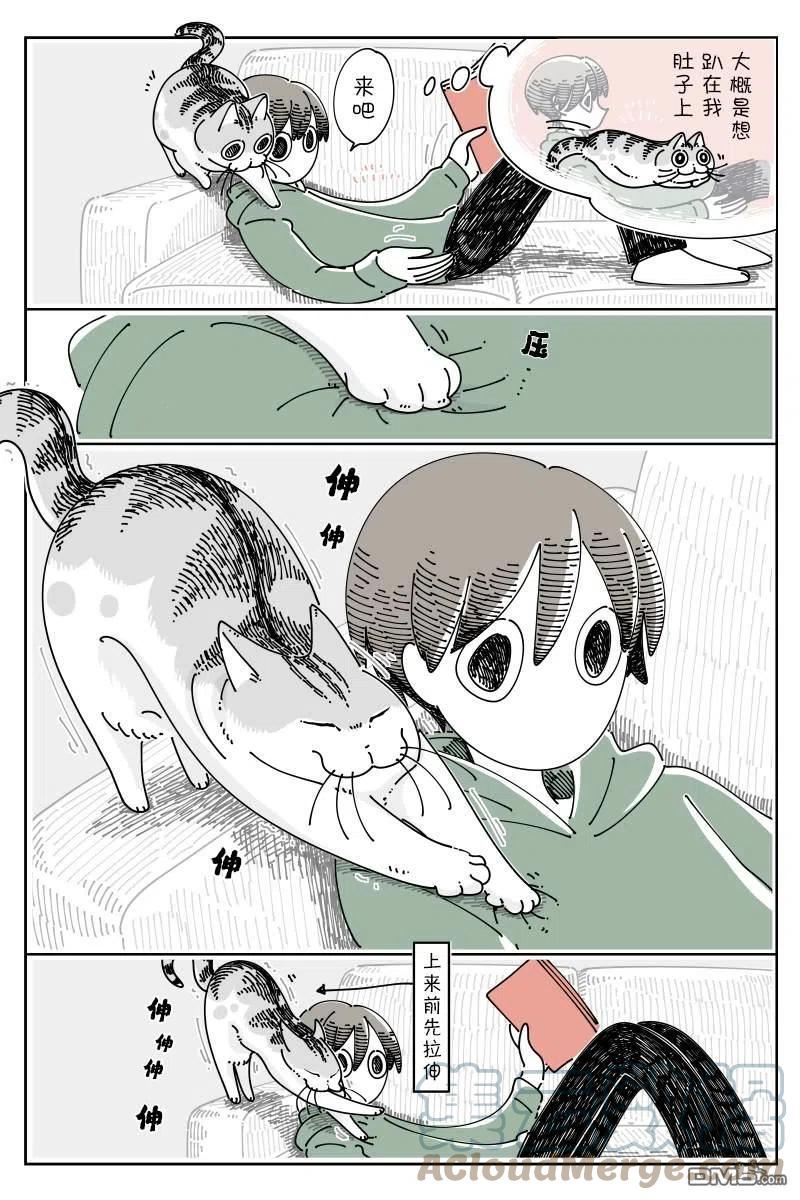 关于养猫我一直是新手 图片漫画,第117话2图