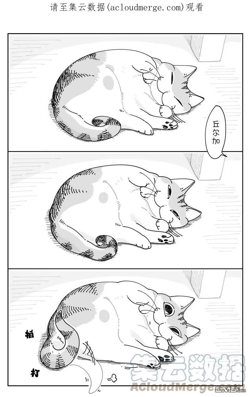 关于养猫我一直是新手漫画,第118话1图