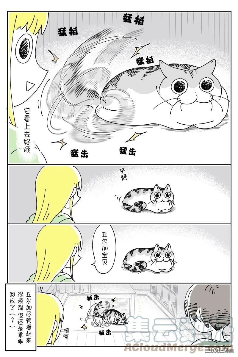 关于养猫我一直是新手漫画,第118话3图