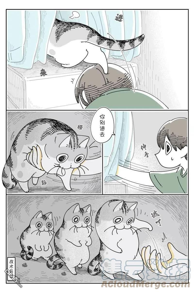 关于养猫我一直是新手 图片漫画,第120话3图