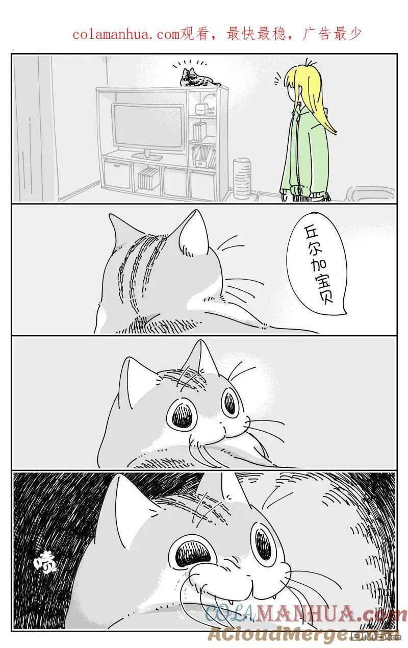 关于养猫我一直是新手 图片漫画,第164话1图