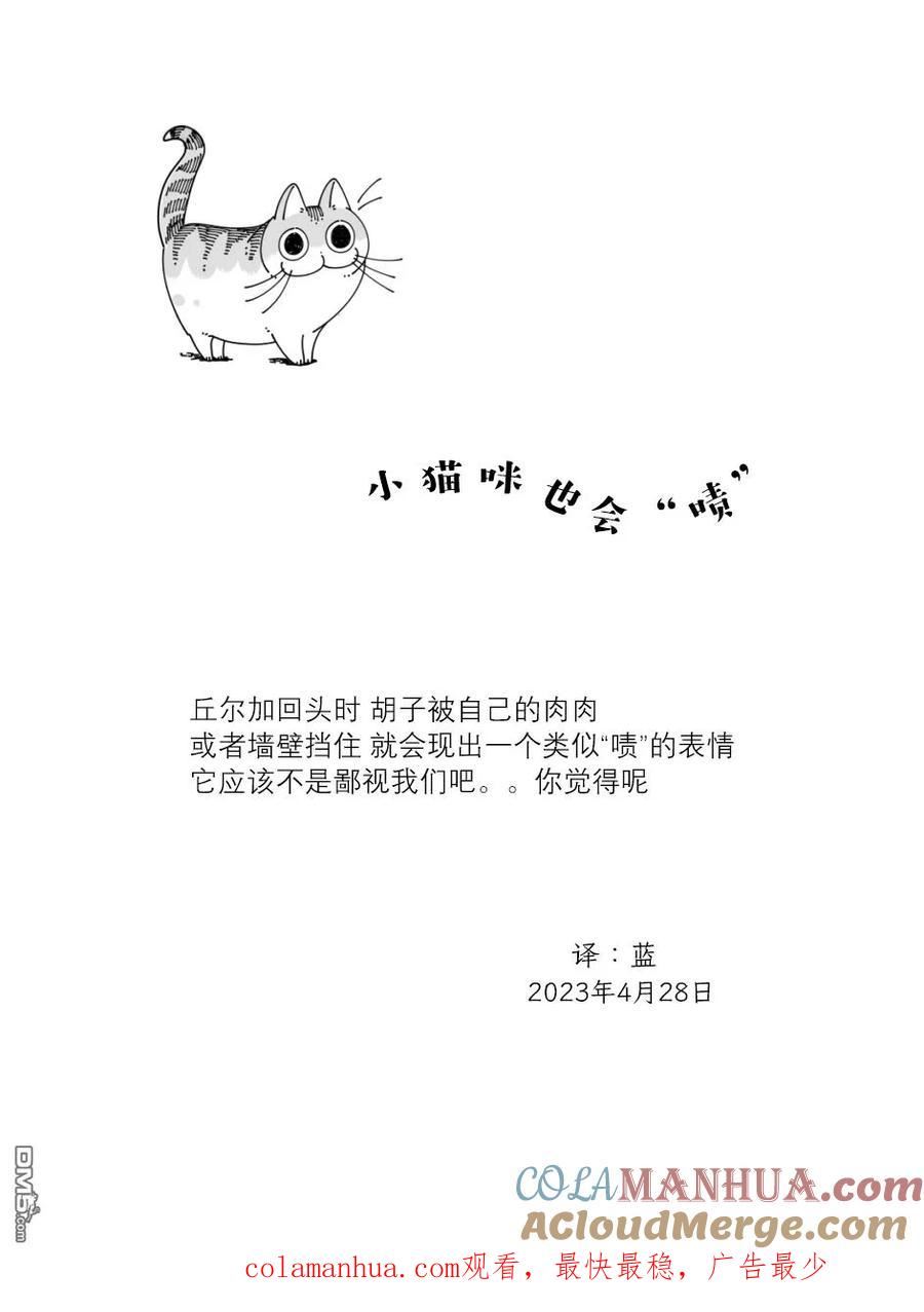 关于养猫我一直是新手 图片漫画,第164话4图