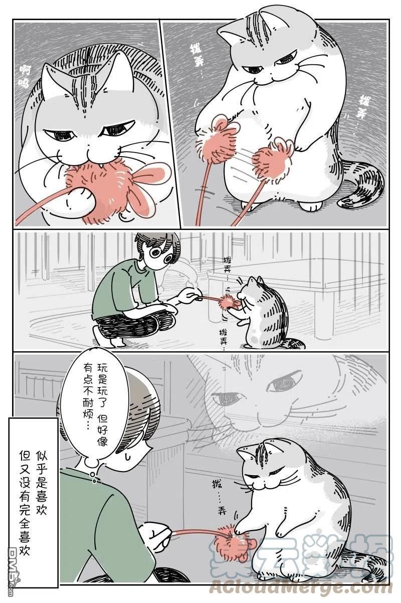 关于养猫我一直是新手 图片漫画,第124话3图