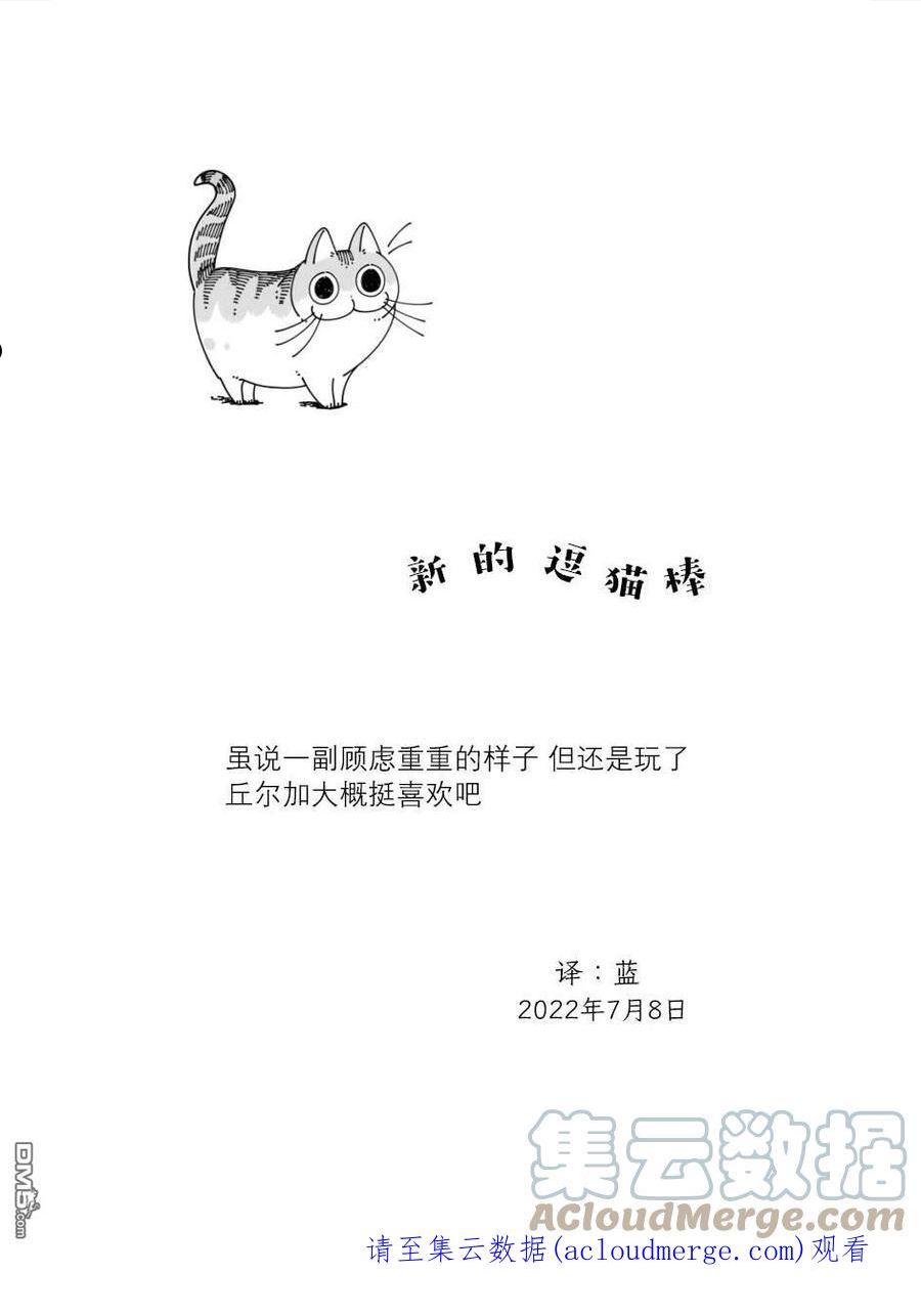 关于养猫我一直是新手 图片漫画,第124话4图