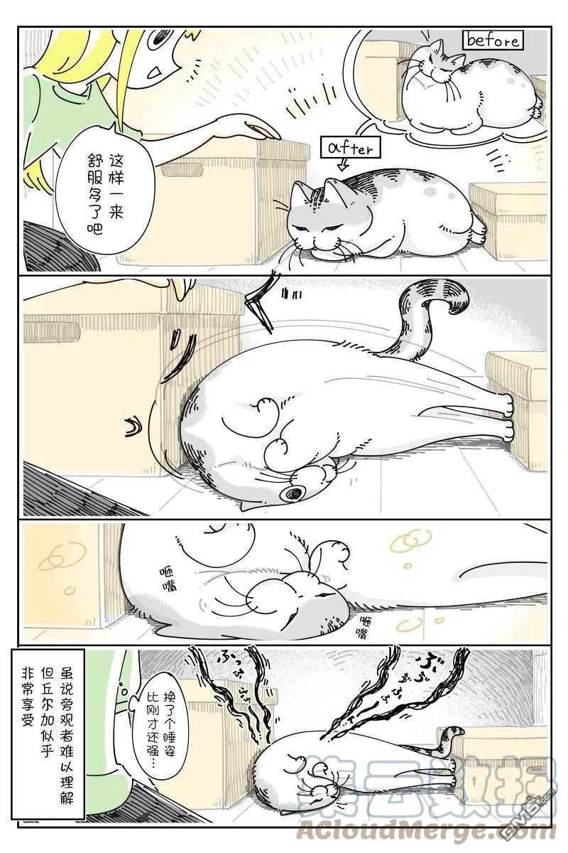 关于养猫我一直是新手 图片漫画,第127话2图