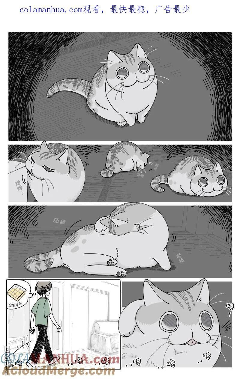 关于养猫我一直是新手漫画,第170话1图