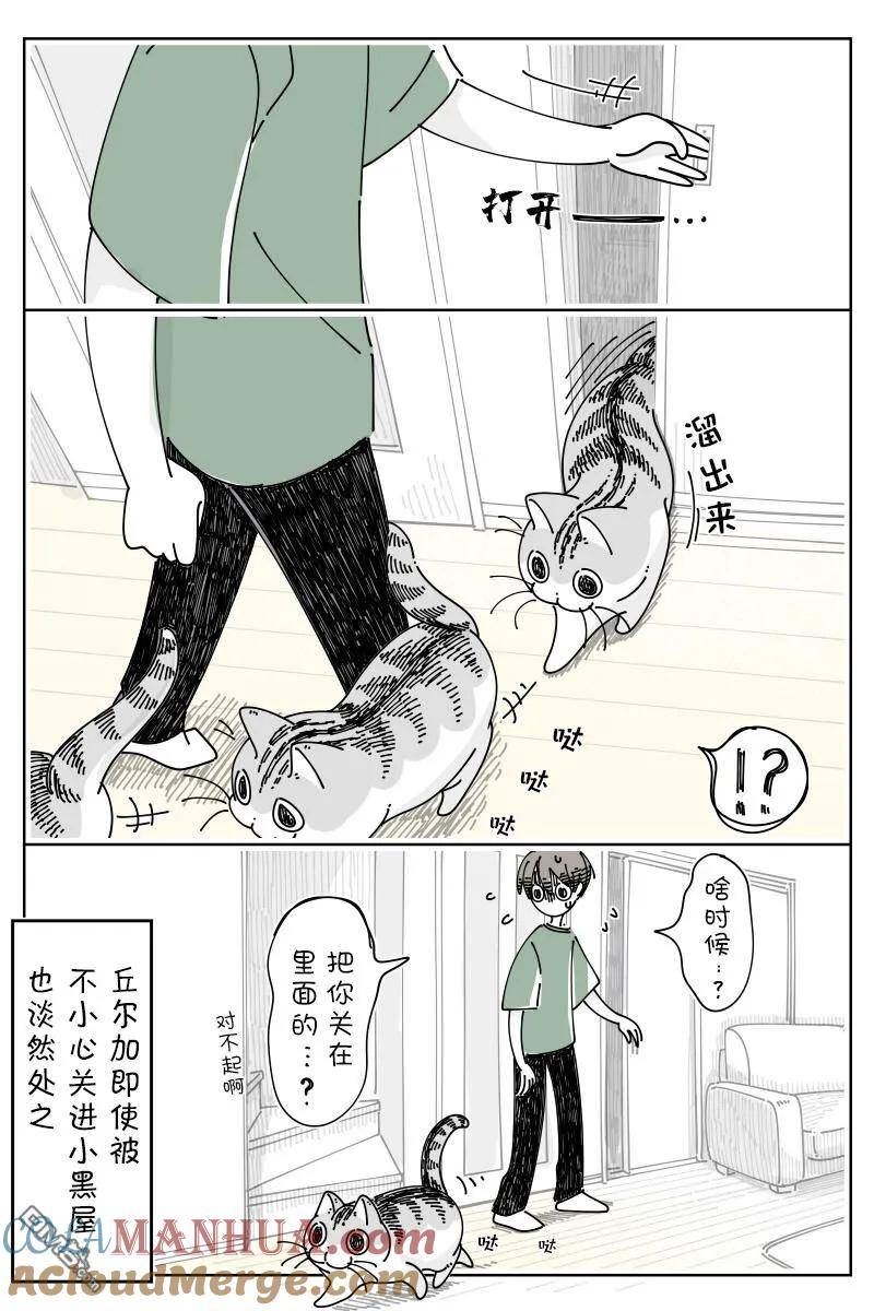 关于养猫我一直是新手漫画,第170话2图