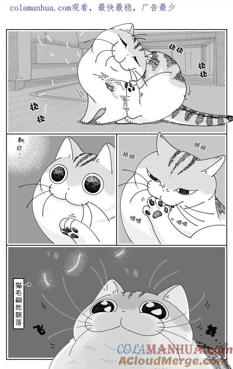 关于养猫我一直是新手 第二季漫画,第171话1图