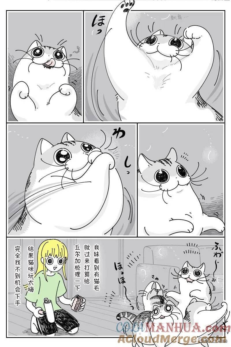 关于养猫我一直是新手 第二季漫画,第171话2图