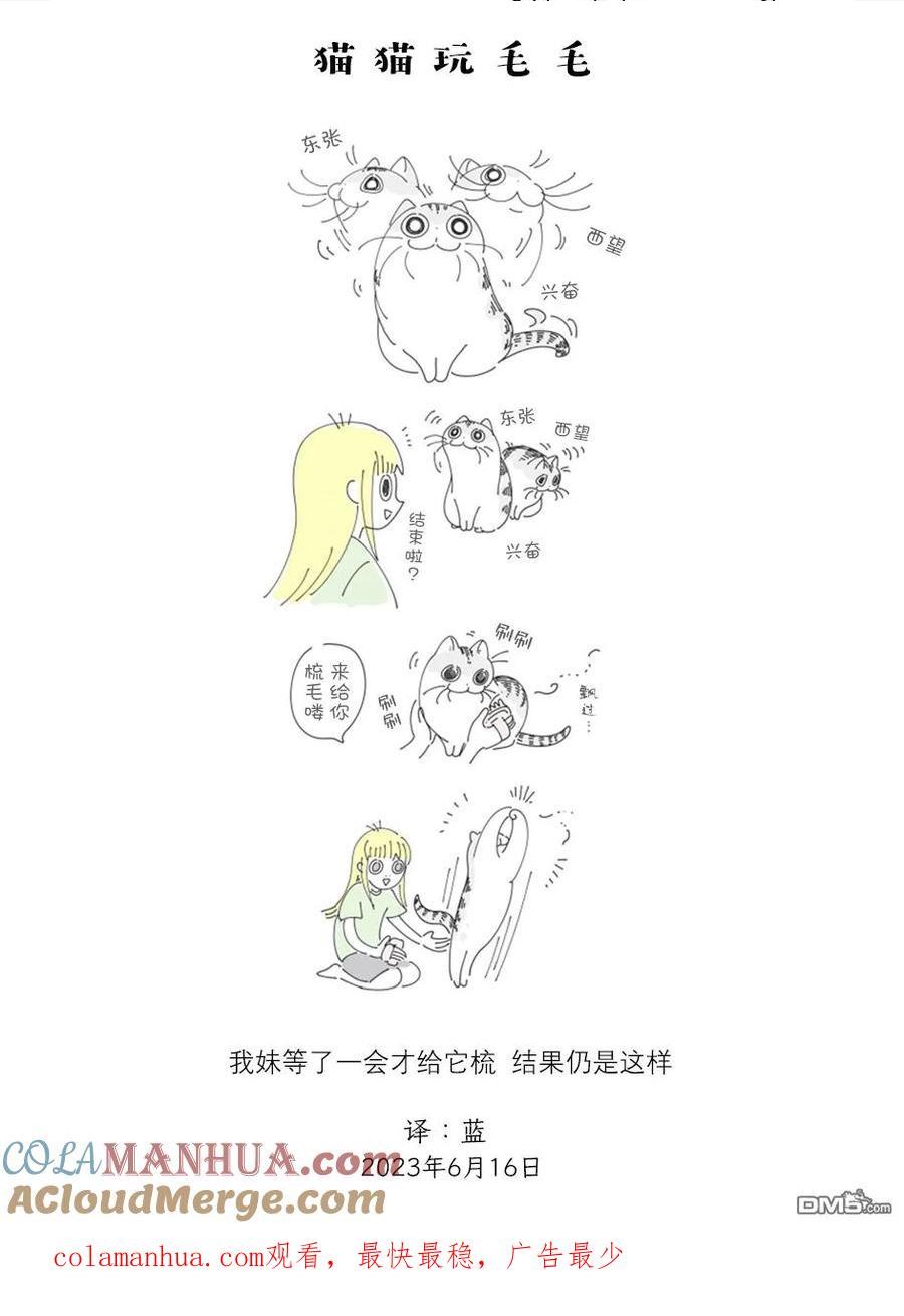 关于养猫我一直是新手 第二季漫画,第171话3图