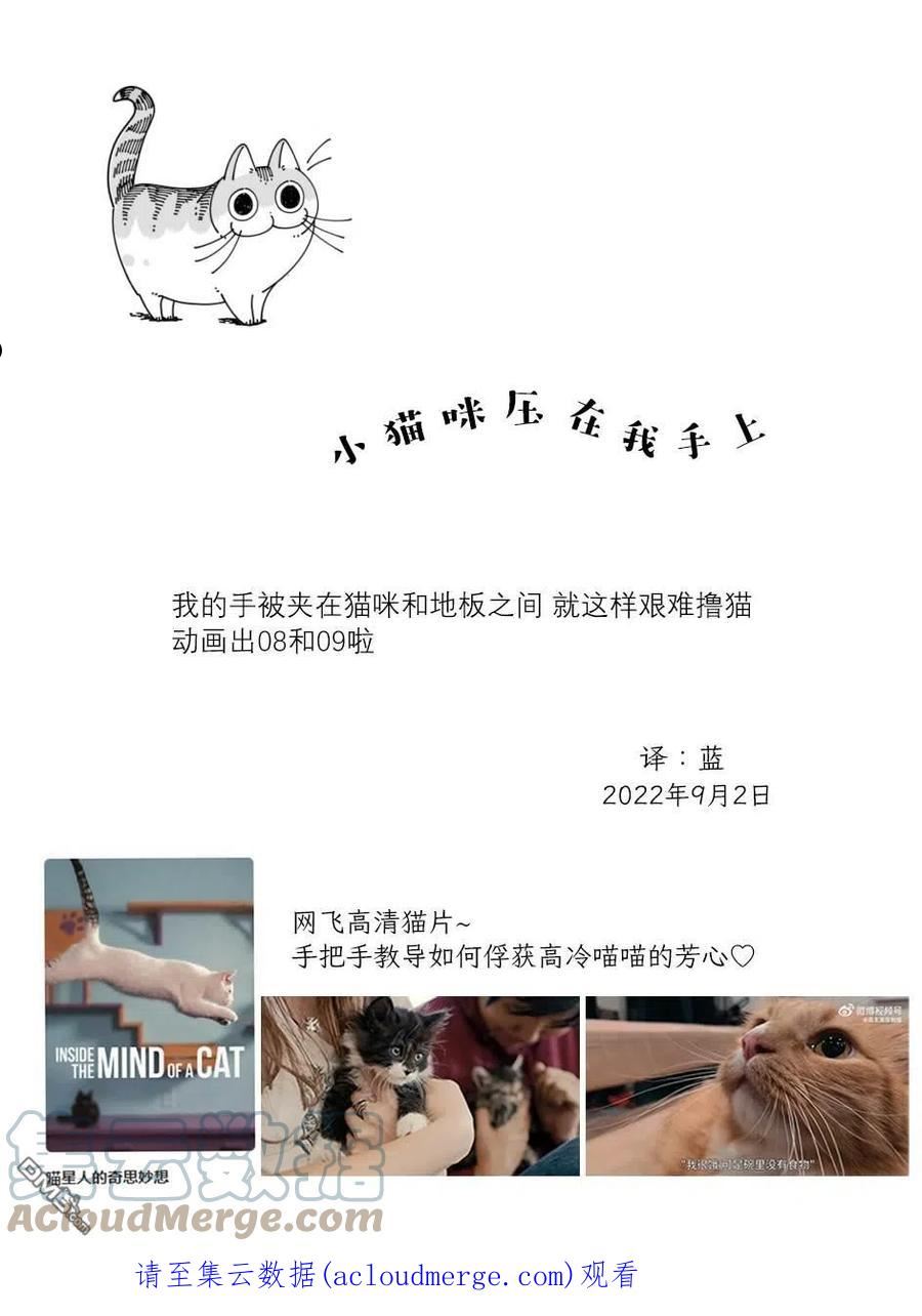 关于养猫我一直是新手 图片漫画,第130话3图