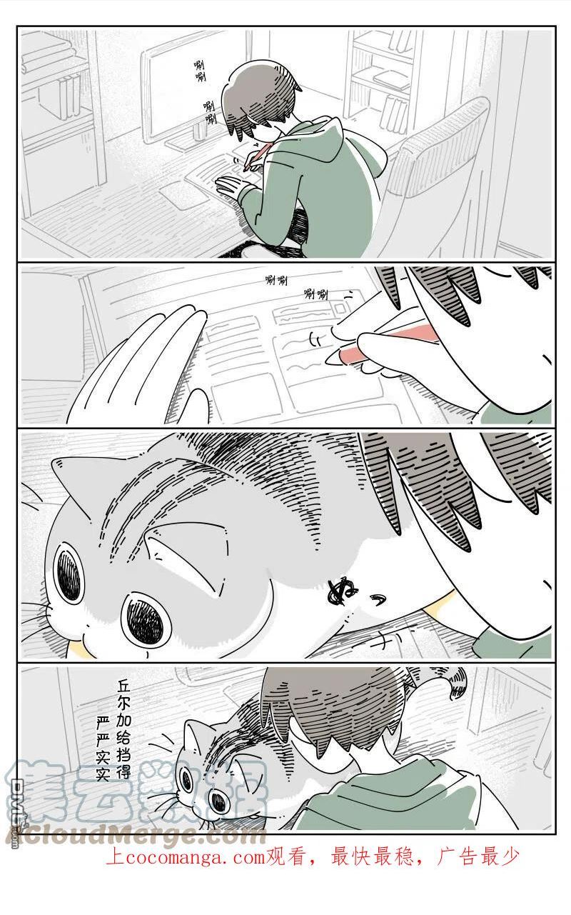 关于养猫我一直是新手漫画,第141话1图