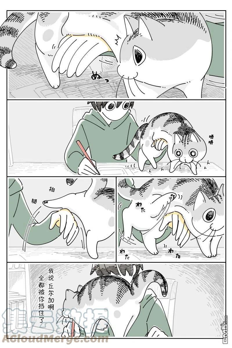 关于养猫我一直是新手漫画,第141话2图