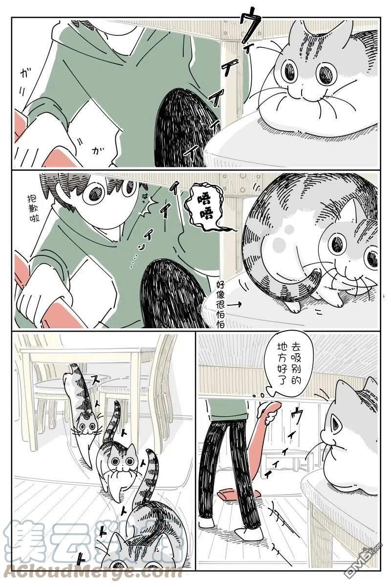 关于养猫我一直是新手 图片漫画,第142话2图