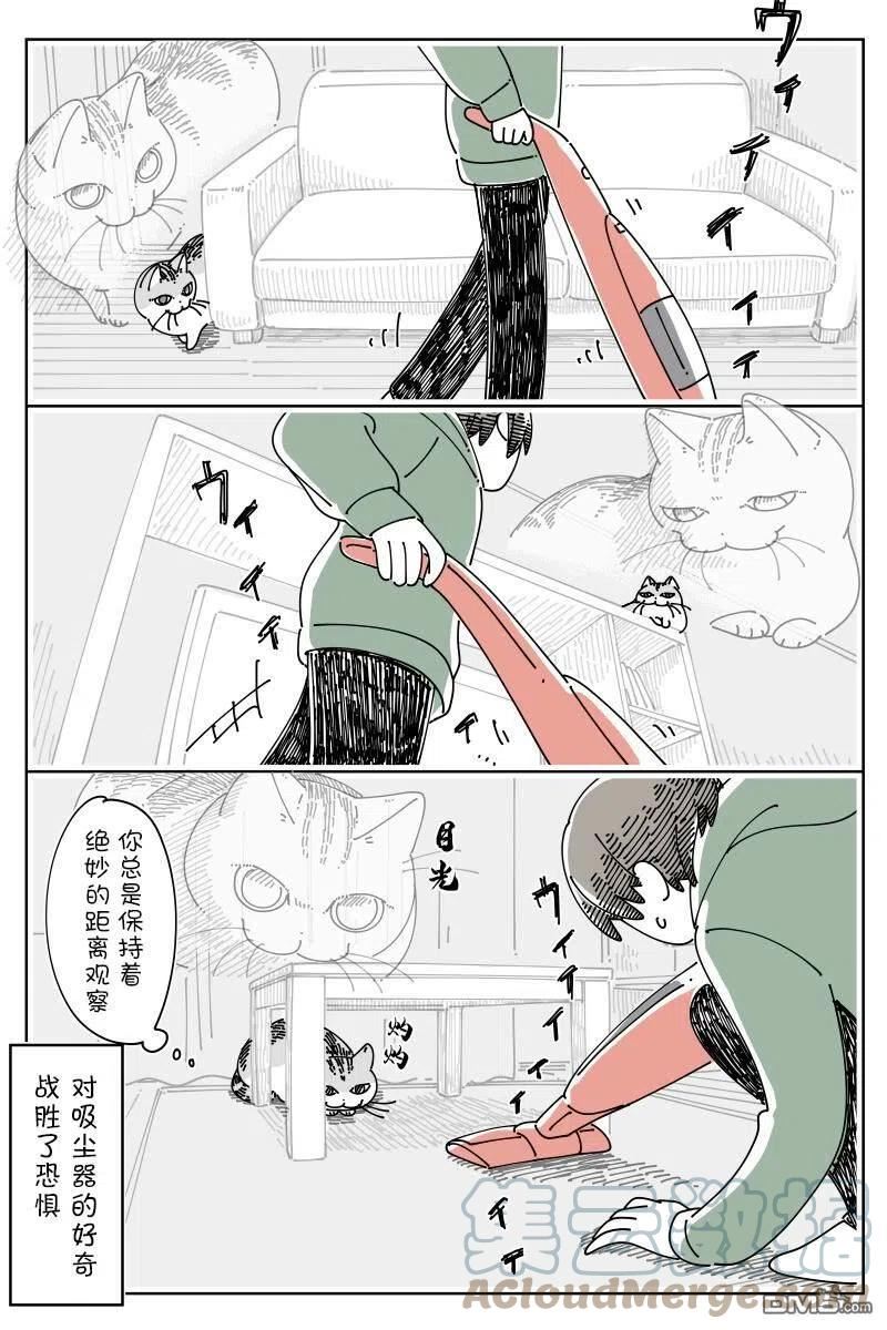 关于养猫我一直是新手 图片漫画,第142话3图