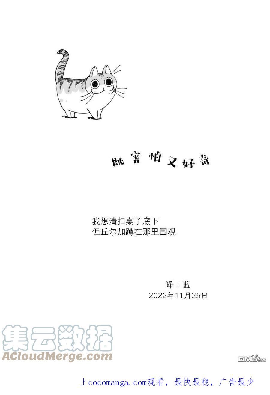 关于养猫我一直是新手 图片漫画,第142话4图