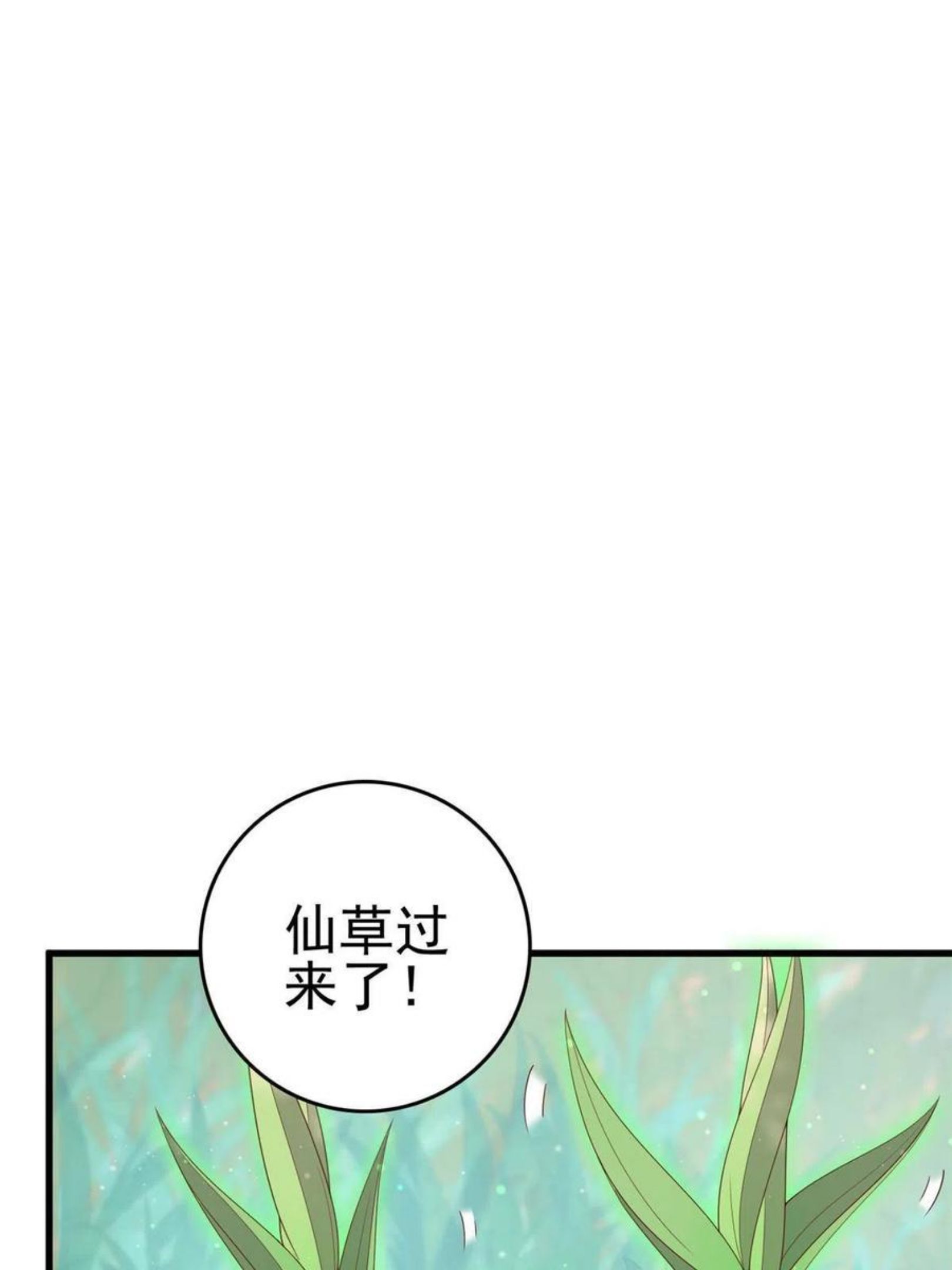 这个女配惹不起漫画免费看下拉式漫画,051 赤焰红槿3图