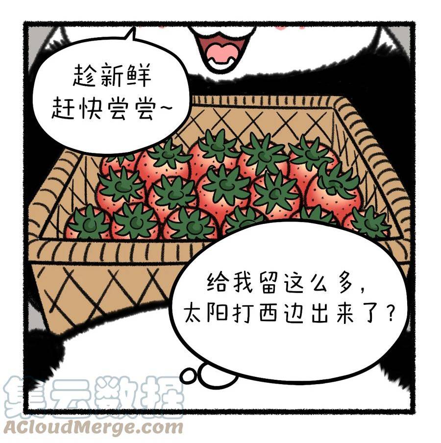 快把动物放进冰箱漫画,384 做人留一半，日后好相见~5图