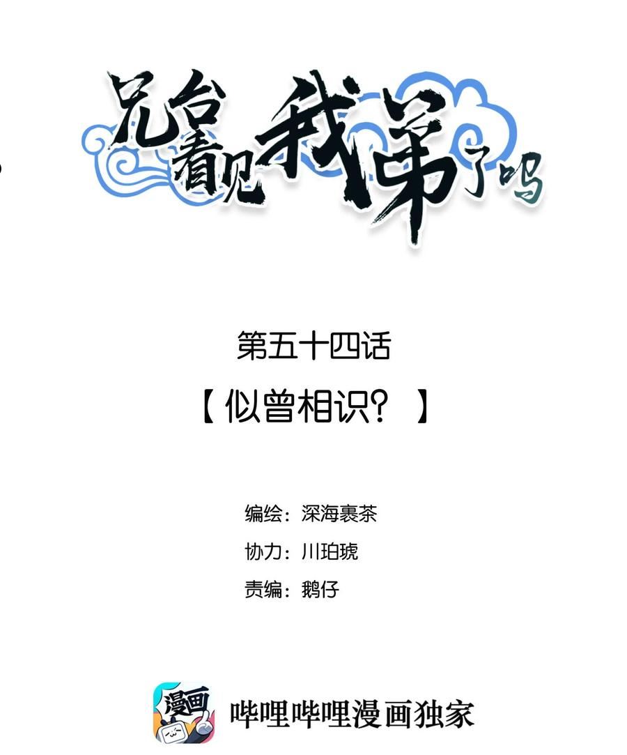 兄台看见我弟了吗漫画全集免费下拉式漫画,054 似曾相识？2图