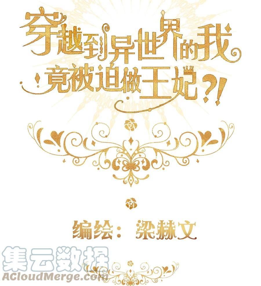 穿越到异世界的我竟被迫做王妃漫画漫画,112 会谈4图