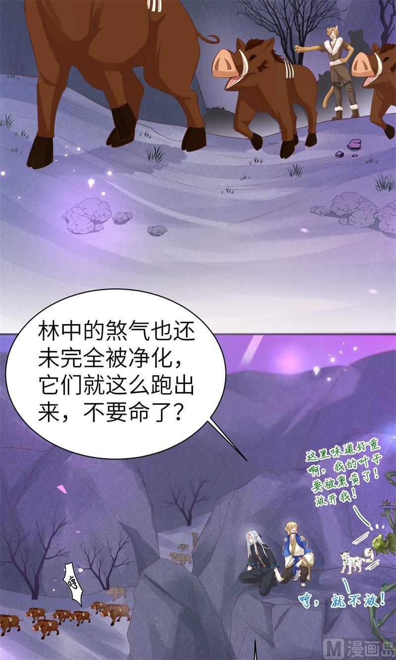 修真奶爸惹不起白老大和白景漫画,102 妖兽聚集5图