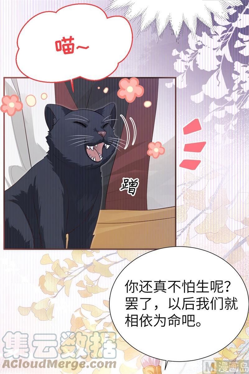 修真奶爸惹不起漫画下拉式免费漫画,108 千年前的真相43图