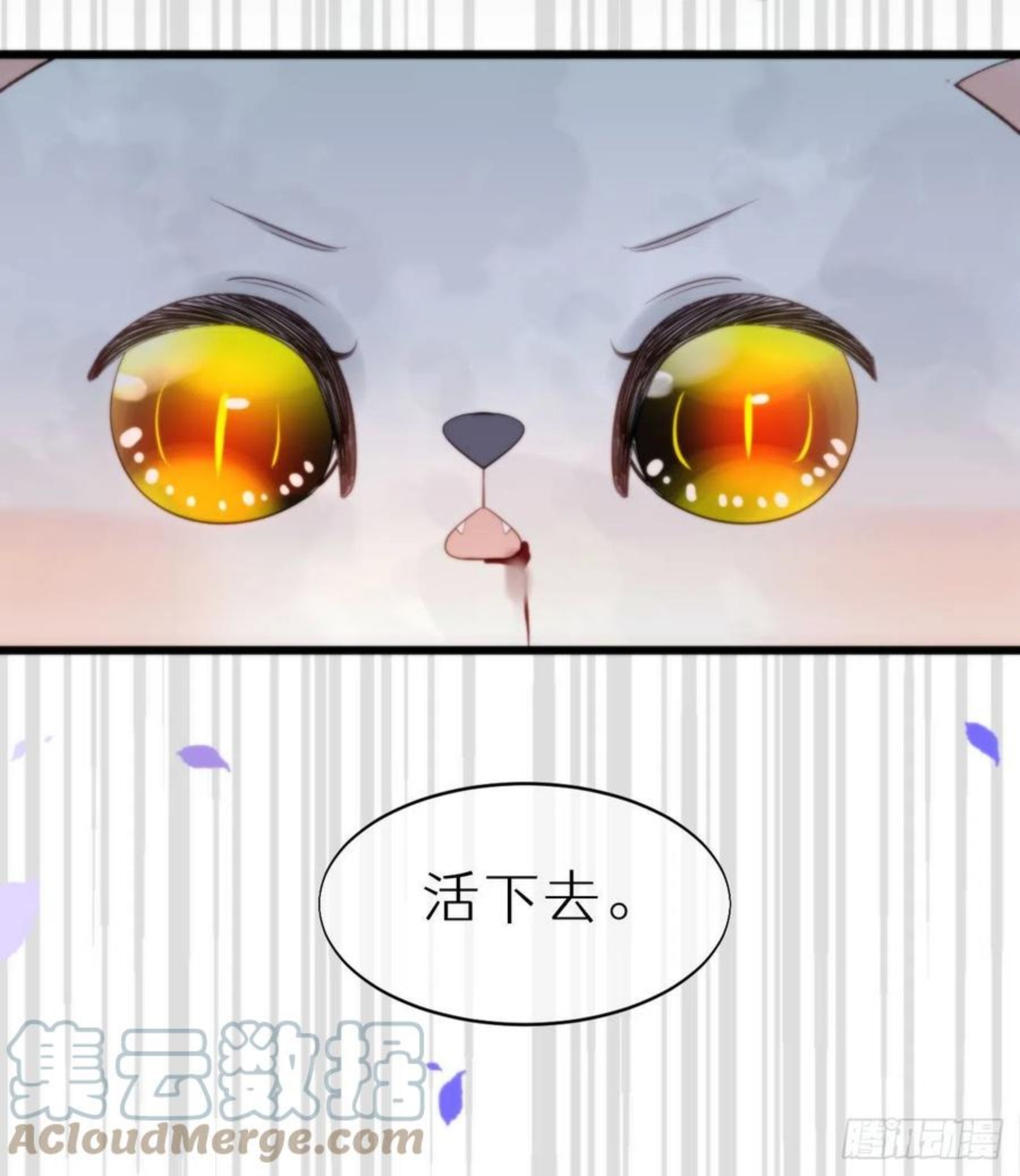 我捡的流浪猫变成人了？漫画,95.妖丹58图