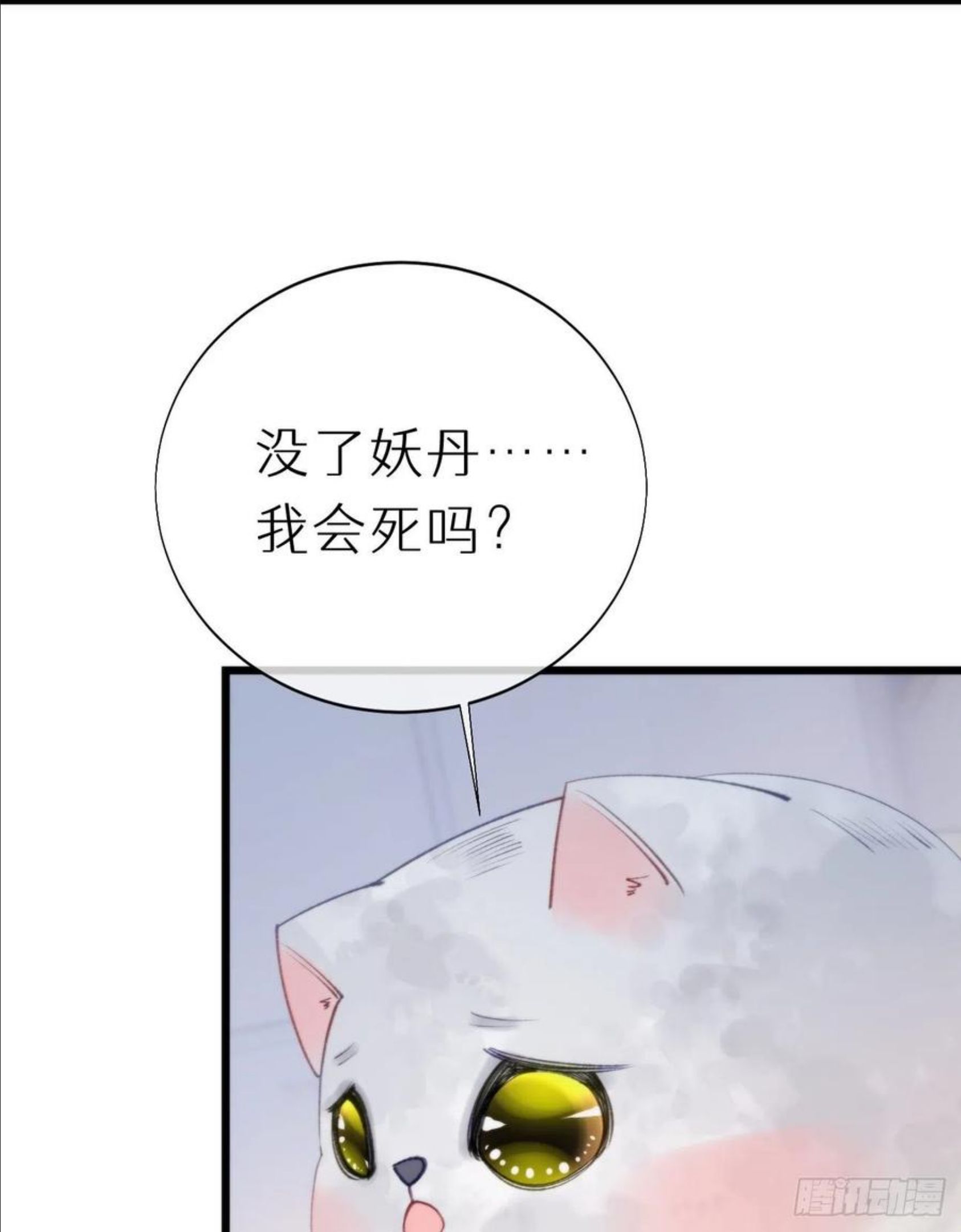 我捡的流浪猫变成人了？漫画,96.这就带你回家48图