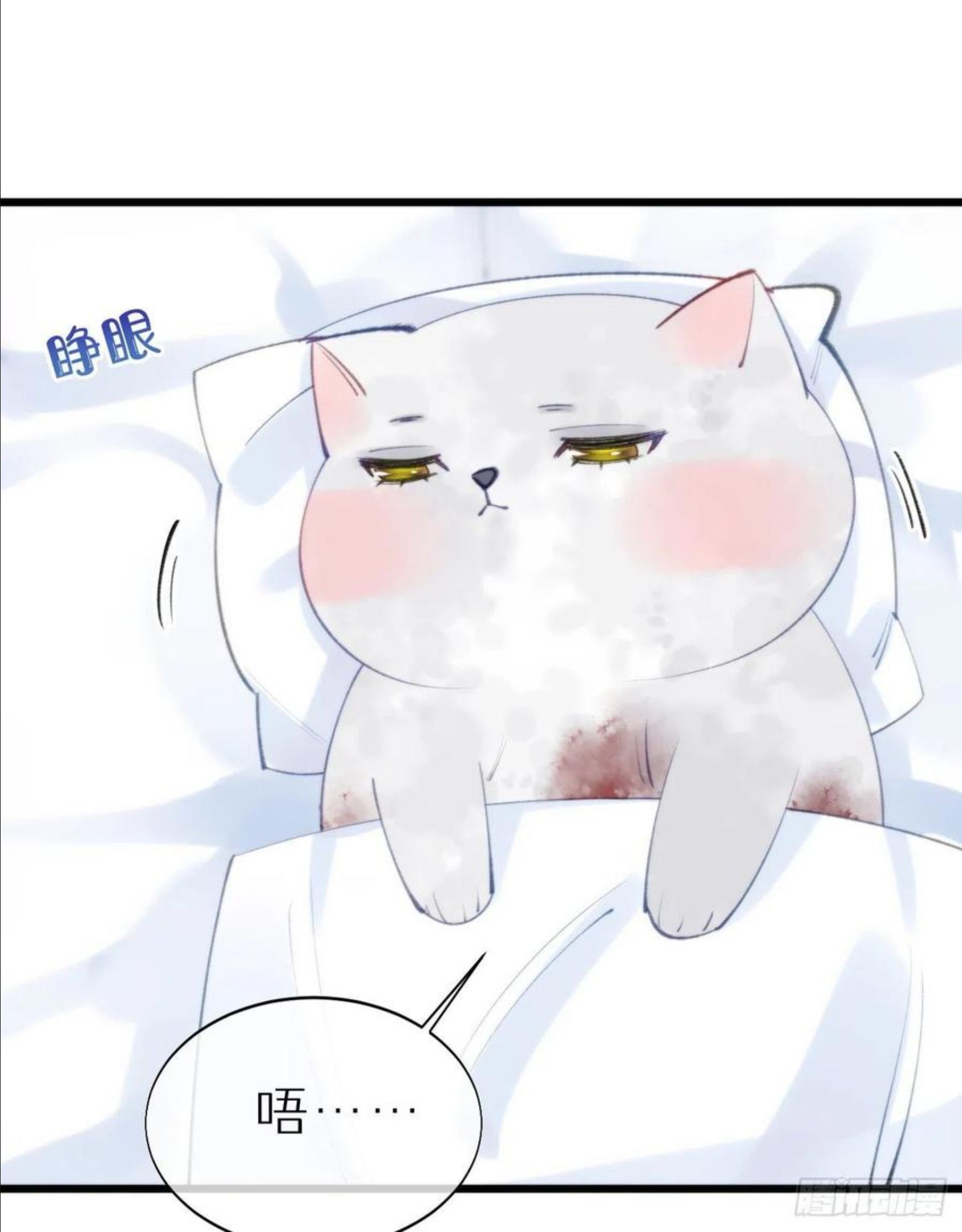 我捡的流浪猫变成人了？漫画,96.这就带你回家39图