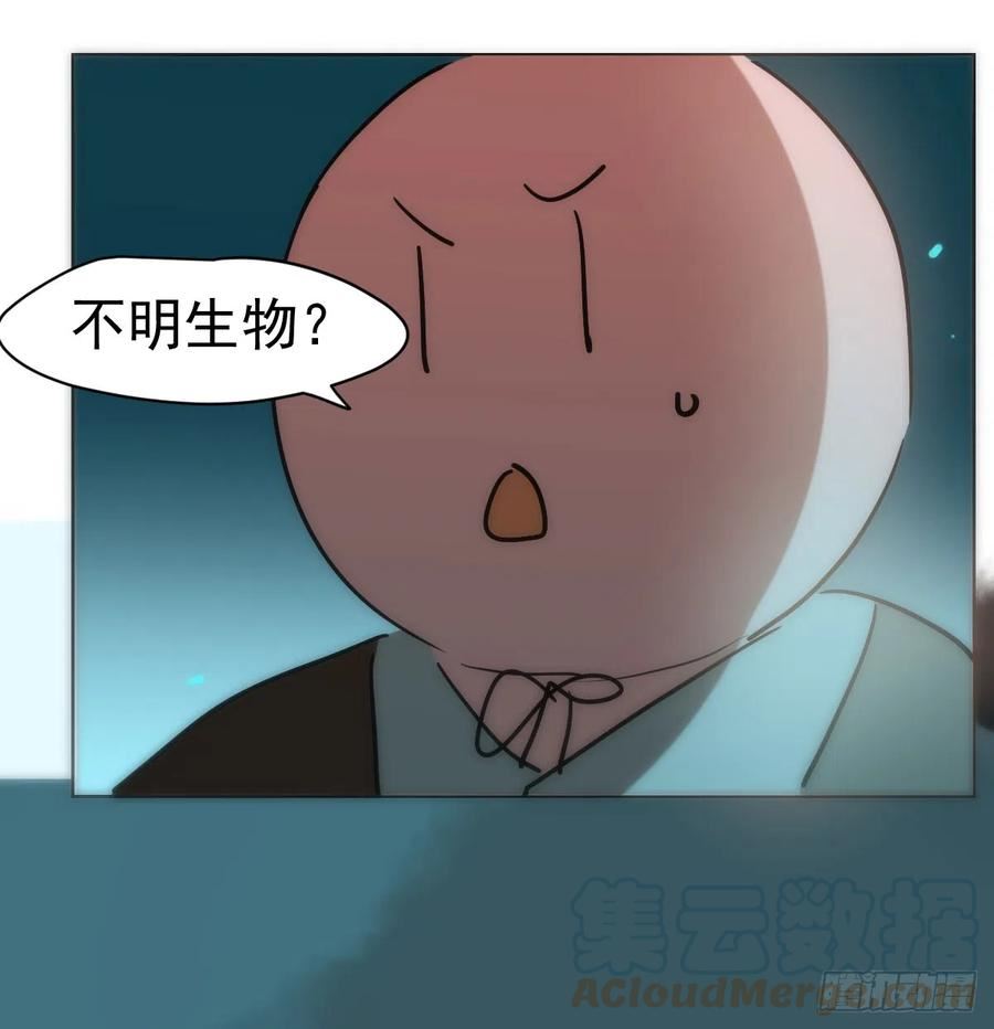 敖敖待捕讲的是什么故事漫画,第214话 我才不要25图