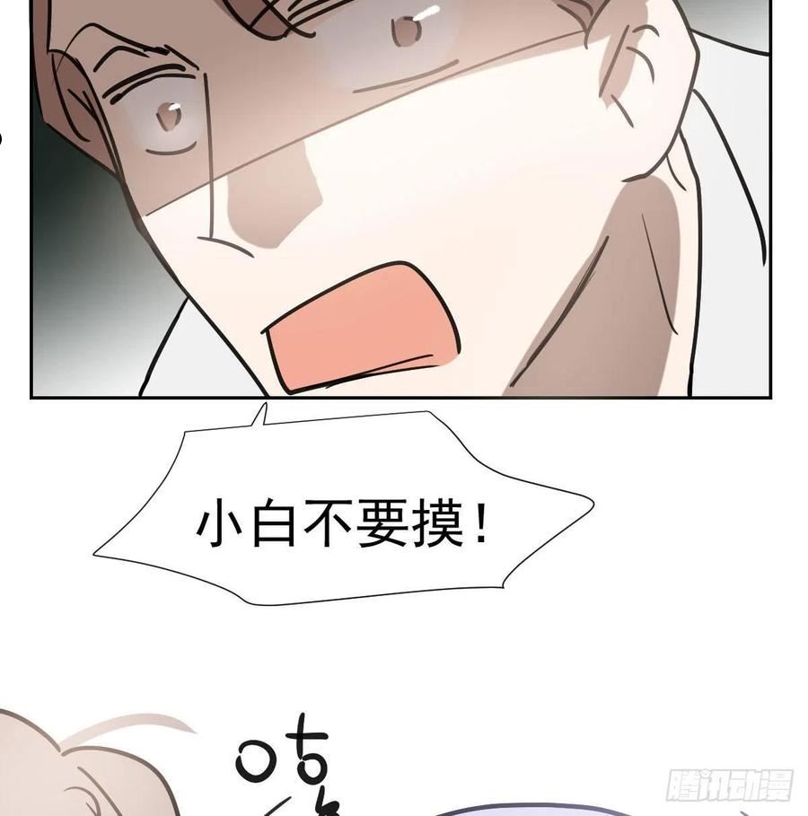 敖敖待捕副cp漫画,第194话 以退为进6图