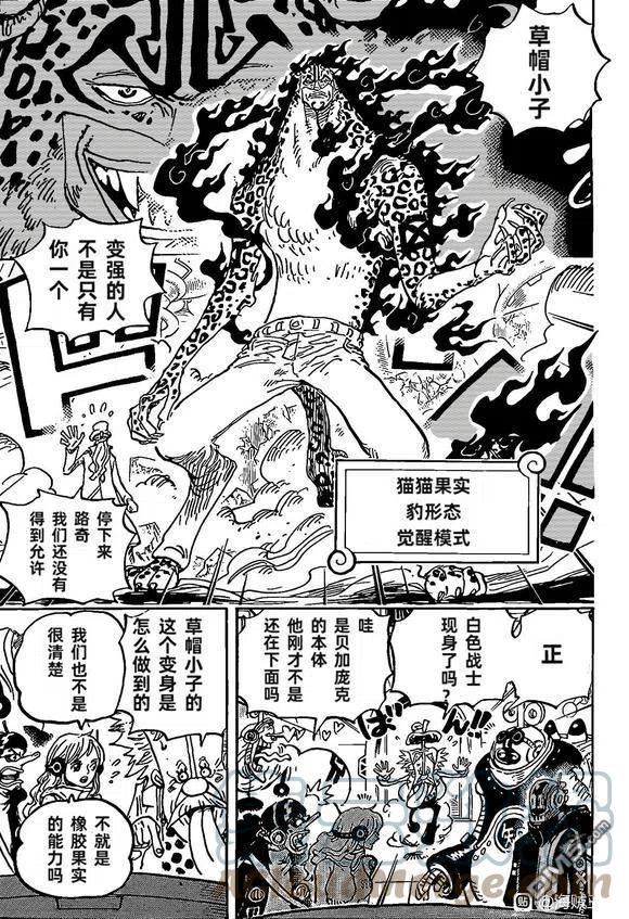 海贼王漫画,第1069话 万物皆有因7图