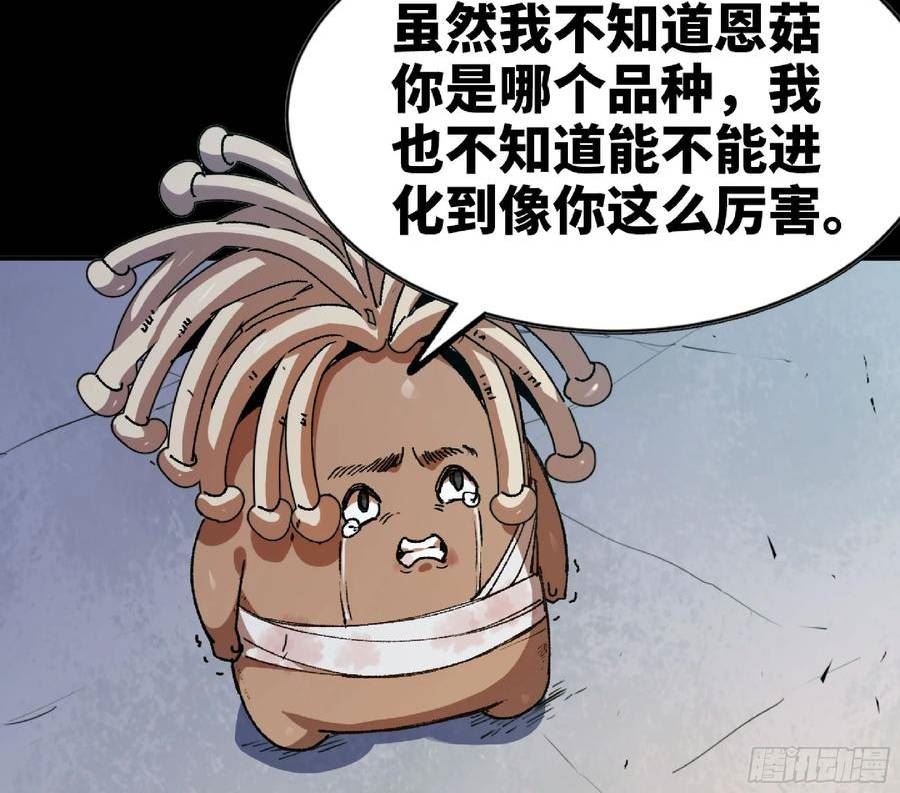 蘑菇勇者漫画,82 隐藏的过去20图