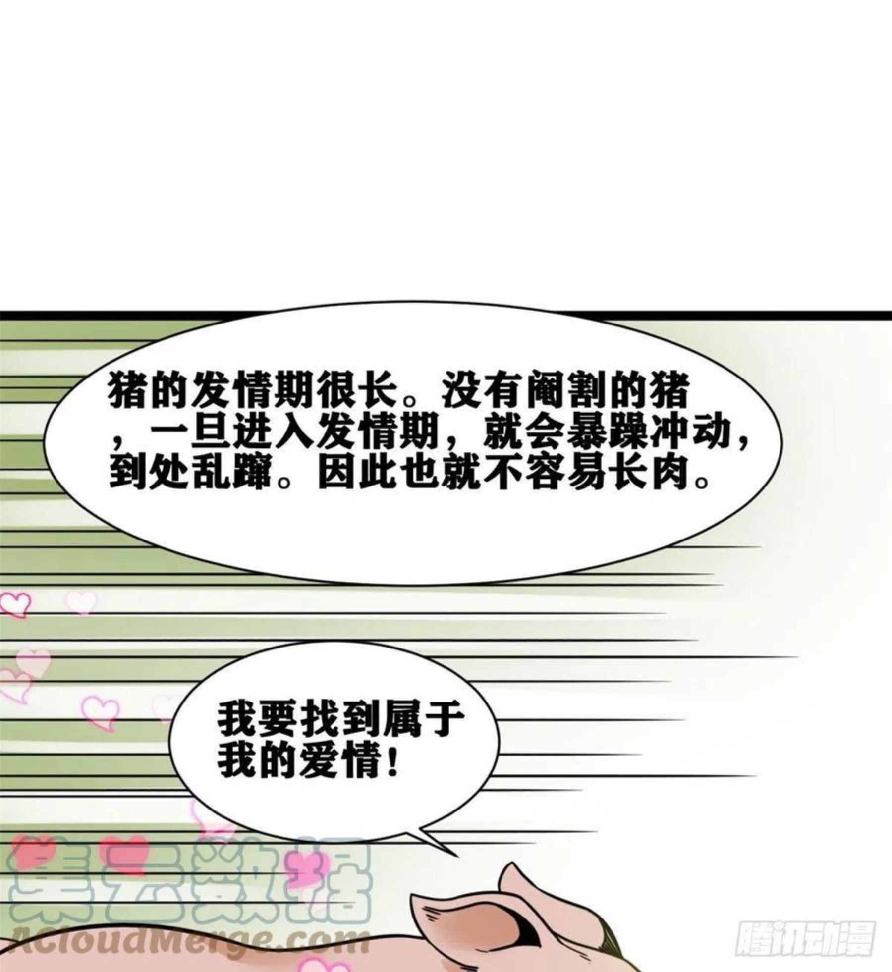 明朝败家子顶点小说漫画,135 改良猪肉品质19图